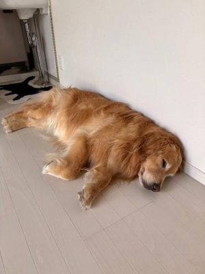 image2_3.jpeg