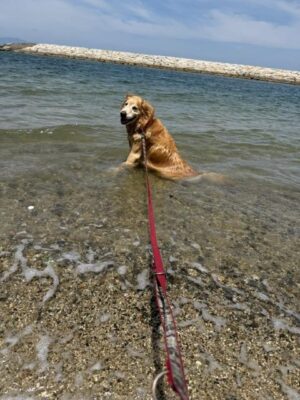 image0.jpeg