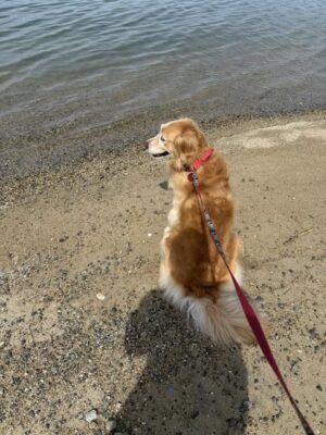 image0.jpeg